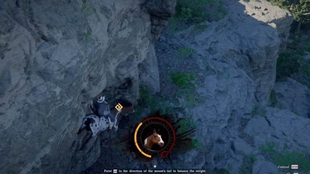 Como domar e comprar cavalos